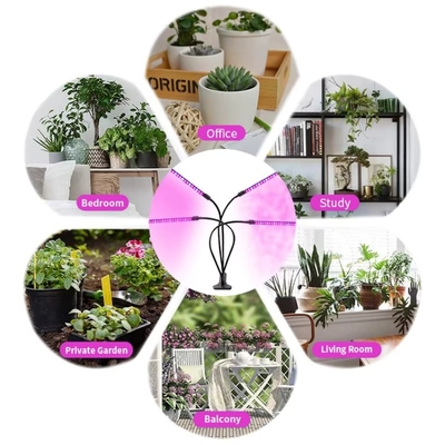 Lâmpada de crescimento de plantas de clipe de espectro completo dimmavel com luzes vermelhas e azuis para estufas ou plantas de interior