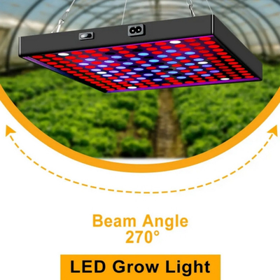 LED Full Spectrum Plant Grow Light 50w 80W Luz Vermelha Azul para Estufas