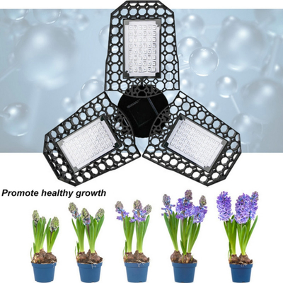 Lâmpadas de crescimento LED de design dobrado Espectro vermelho-azul para plantas de interior de estufa Promover o crescimento das plantas