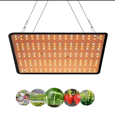 Modelo económico Lâmpada de crescimento de plantas de espectro completo Luz vermelha azul para iluminação de estufa