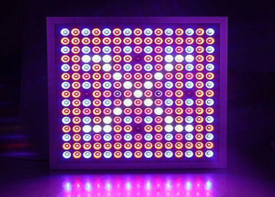 45W que o diodo emissor de luz interno cresce espectro claro/completo crescem o CE da economia de energia das luzes IP65/ROHS