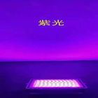 A água alta do lúmen impermeabiliza o projetor solar 50w do diodo emissor de luz a 300w com cor clara diferente